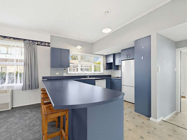 208 Walnut Avenue Hampstead_4