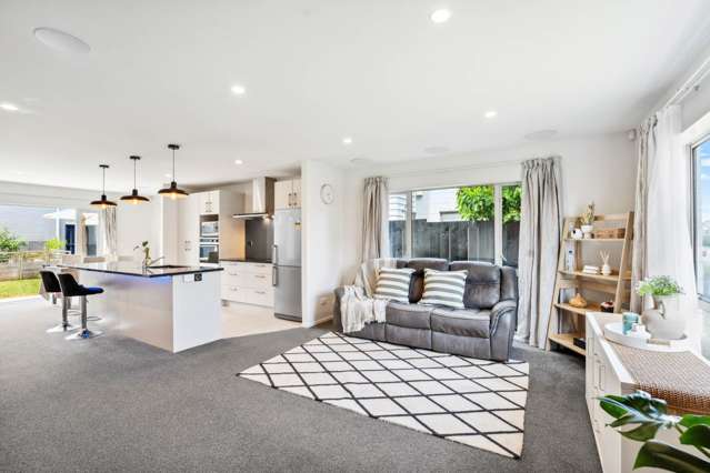 39 Treestump Road Takanini_1