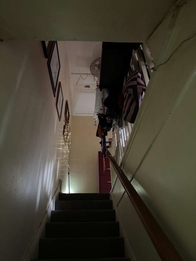 553 Dominion Road Balmoral_3