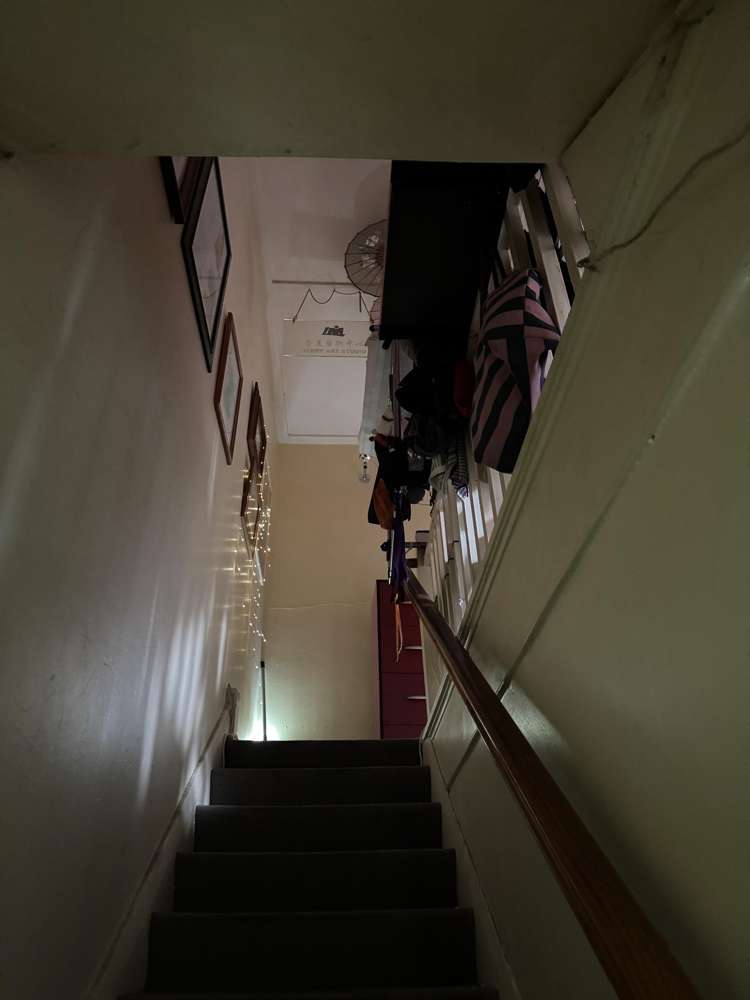 553 Dominion Road Balmoral_3