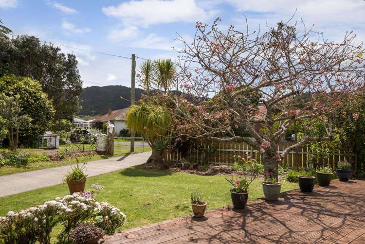 101 Alfred Street Thames_5