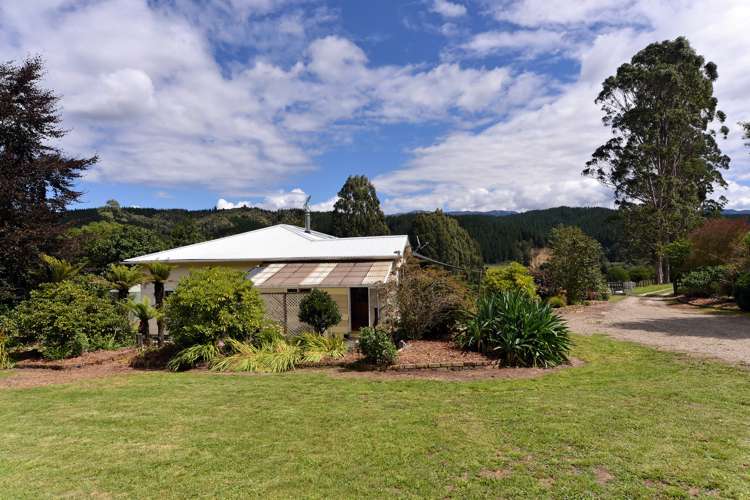 739 Tadmor-Glenhope Road Kahurangi National Park_19