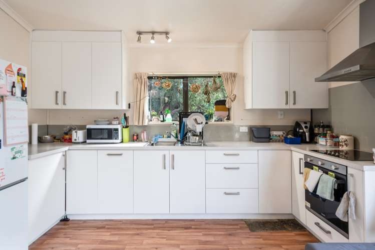 11 Buccleugh Street North East Valley_6