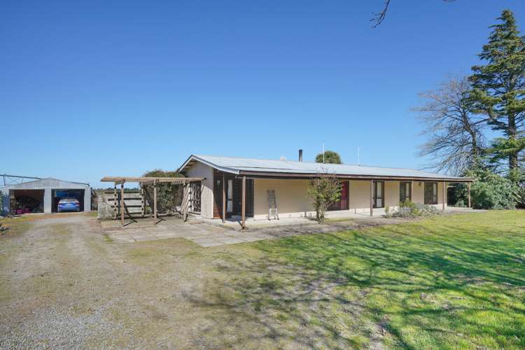 729 Terrace Road Bankside_13