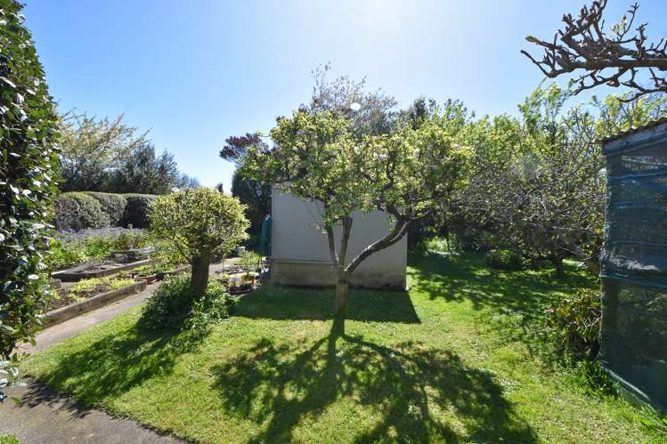 2 Davy Street Carterton_17