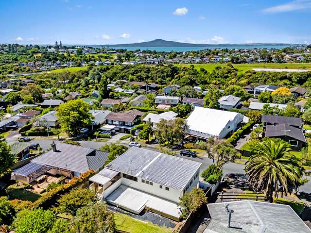 49 Hawkins Street Meadowbank_4