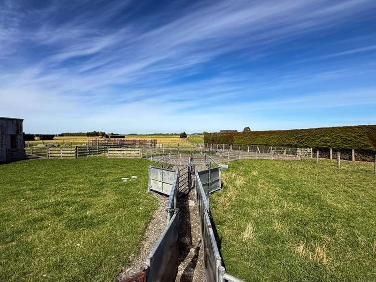 372 Looney Road South Hillend_19