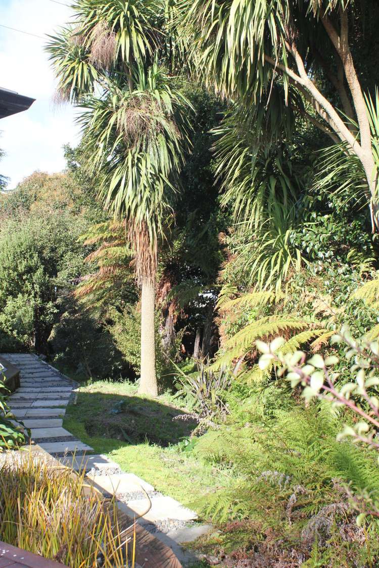 15a Gordonton Road Chartwell_26