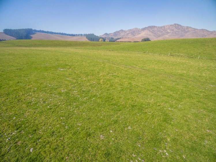 1028 Hurunui Bluff Road Hurunui_21