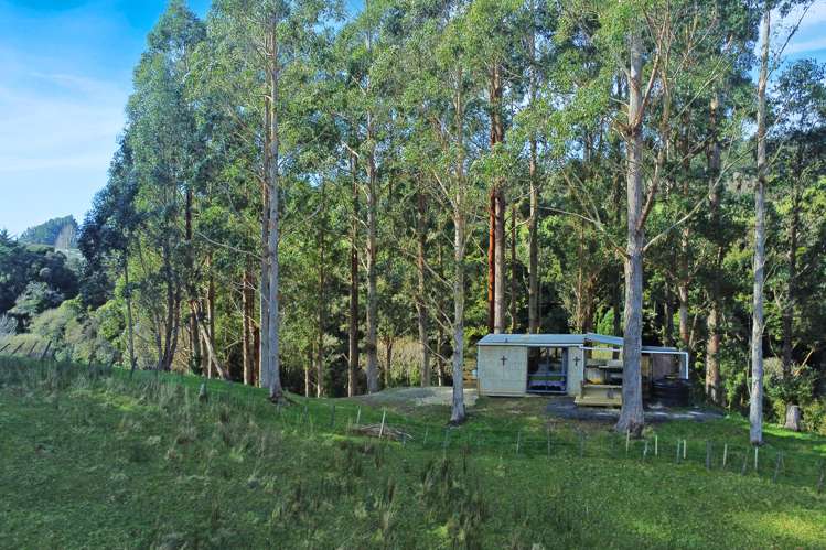 2177 Maunga Road Ormondville_15