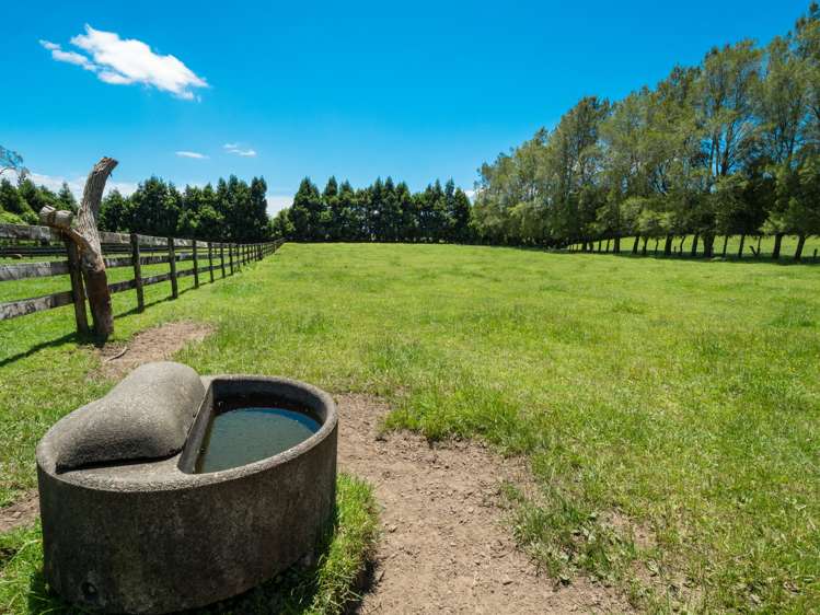 857 Mclaren Falls Road Kaimai_28