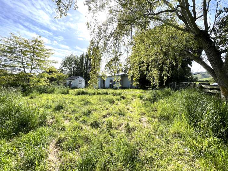 37 Knoll Street Milton_8