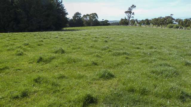 Prime Land Mataura Island