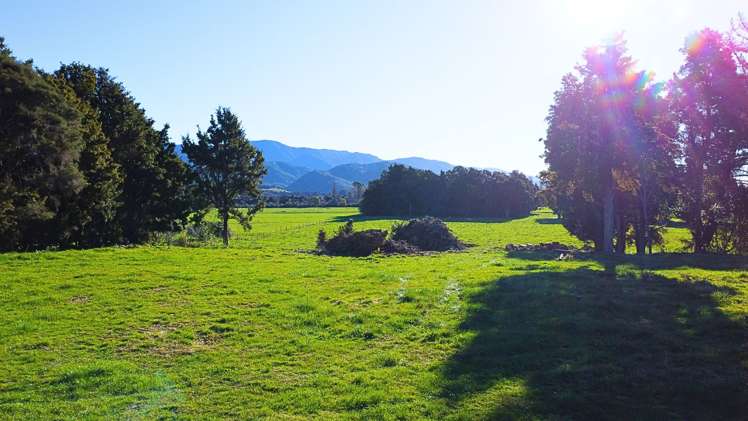 Hamama Road Takaka_5