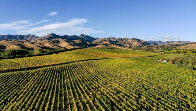 World-Class Organic & Biodynamic Vineyard