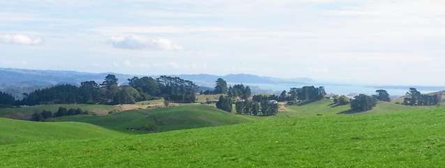 44 Te Rauamoa Road Otorohanga_4