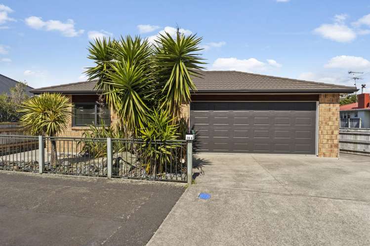 20a Granville Street Silverstream_0