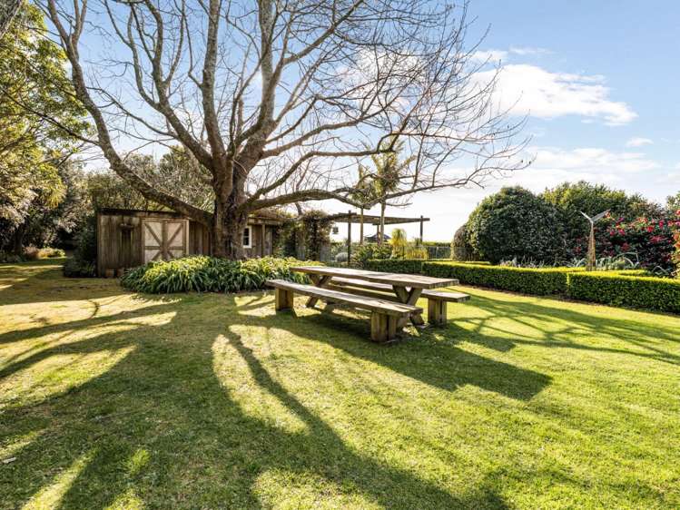 439A Wainui South Road Whakamarama_25