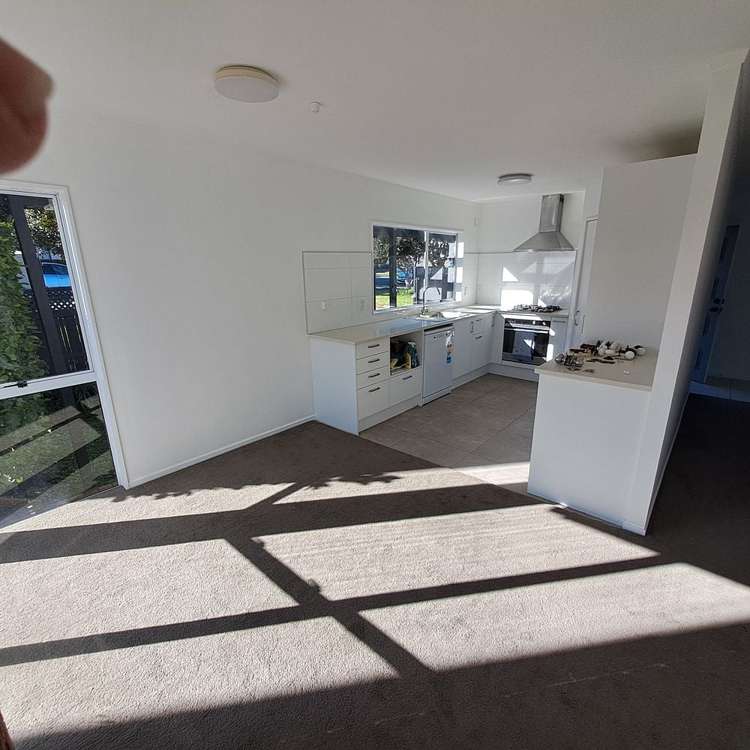 116b Michaels Avenue Ellerslie_10