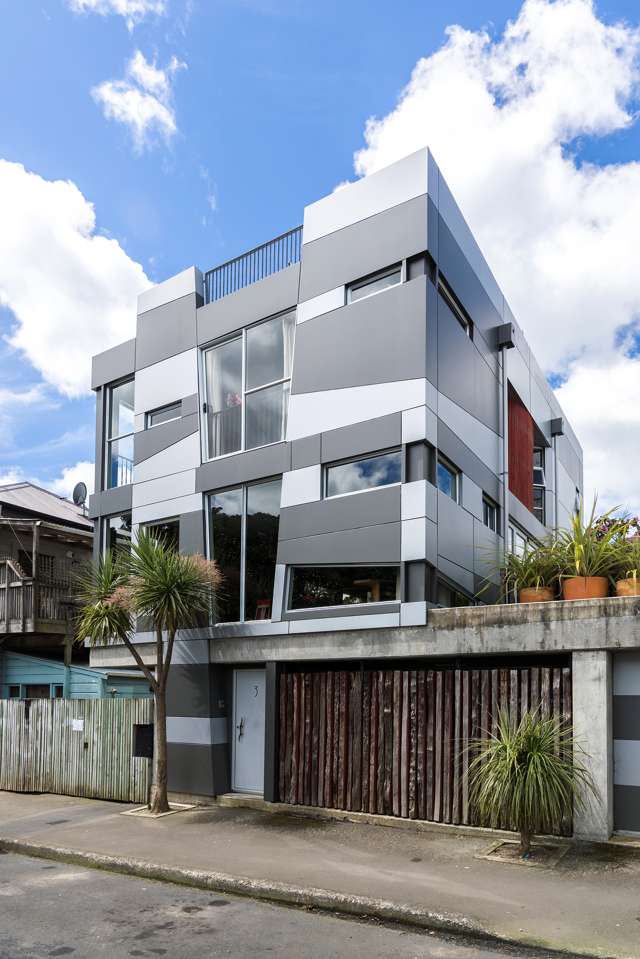 3 Honiana Te Puni Street Aro Valley_1