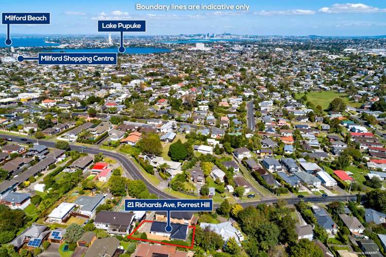 21 Richards Avenue Forrest Hill_19