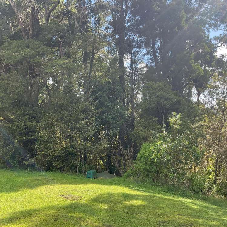 81 Thompson Road Warkworth_8