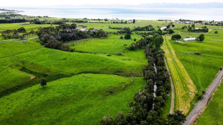 1177c East Coast Road Kaiaua_8