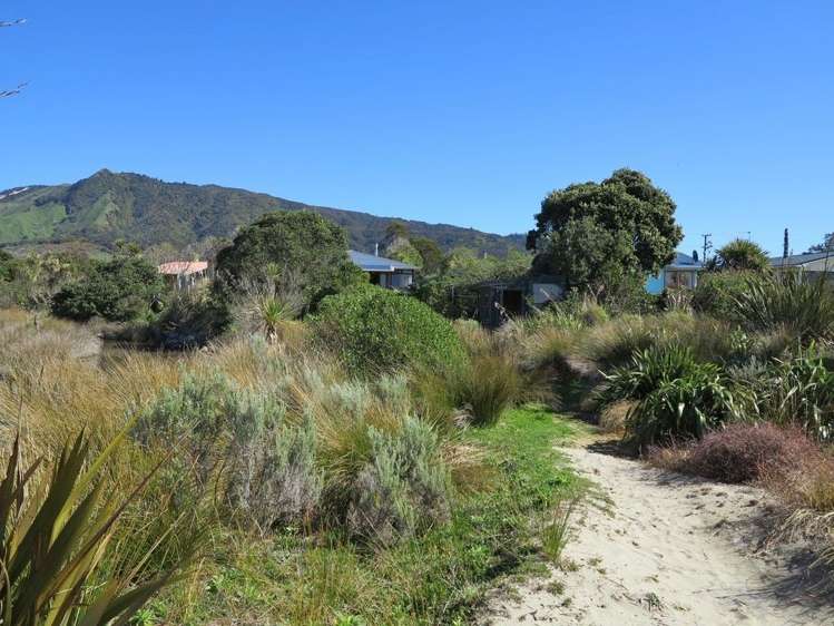 1174 Collingwood-Puponga Kahurangi National Park_19