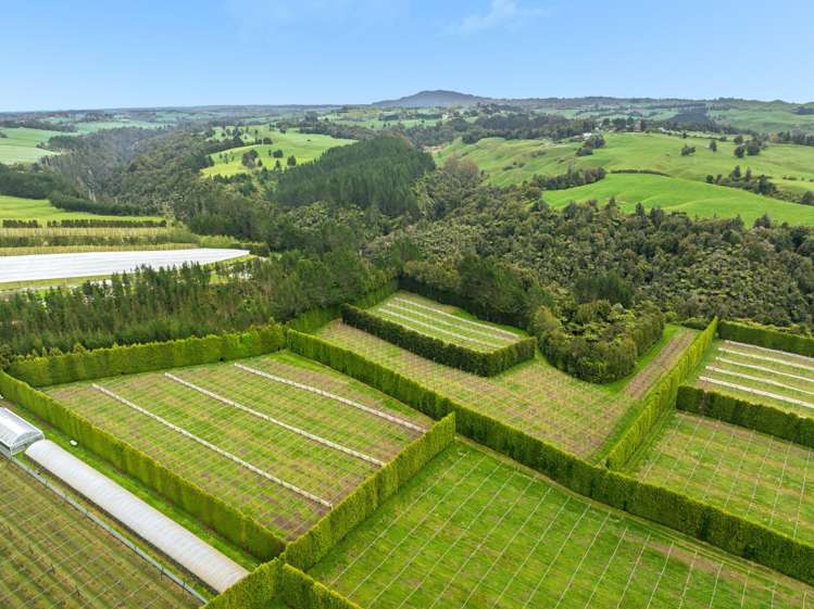 Lot 6/1010 Te Matai Road Te Ranga_6