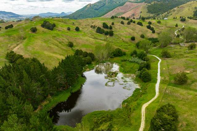 2174 Omana Road Tangiteroria_3