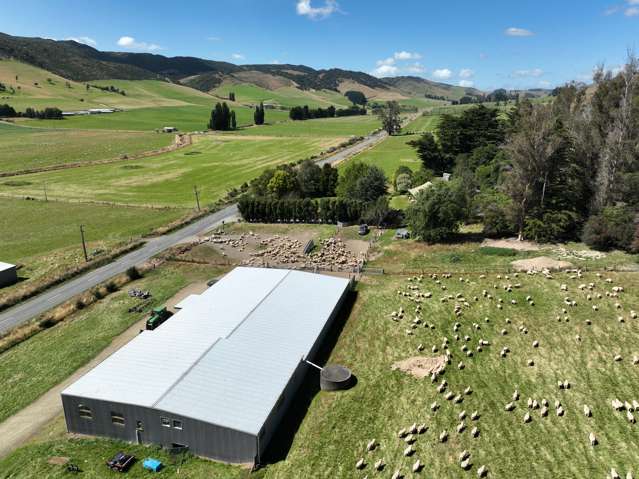 Caroline Valley Road Dipton_2