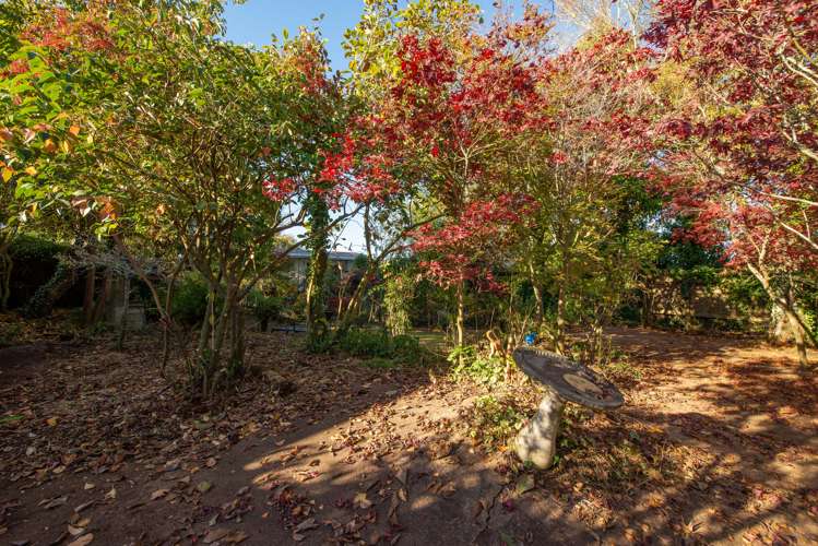 17 Manaia Street Tokoroa_31