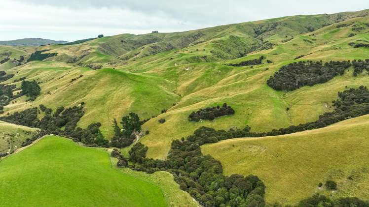 48 Heathfield Road Greta Valley_6