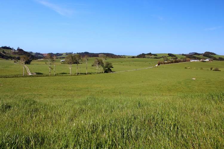 295 Waiteitei Road Wellsford_9