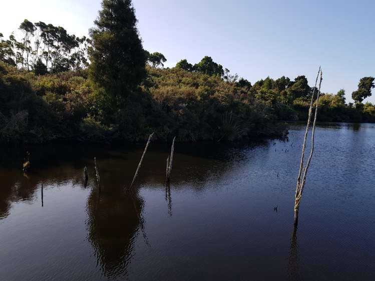 348 Virgin Flat Road Cape Foulwind_11