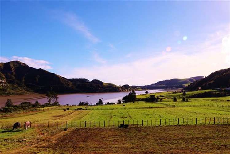 241 Te Mahoe Road Mokau_70