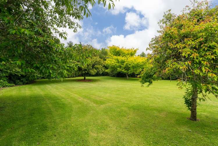 64 Lea Grove Levin_38