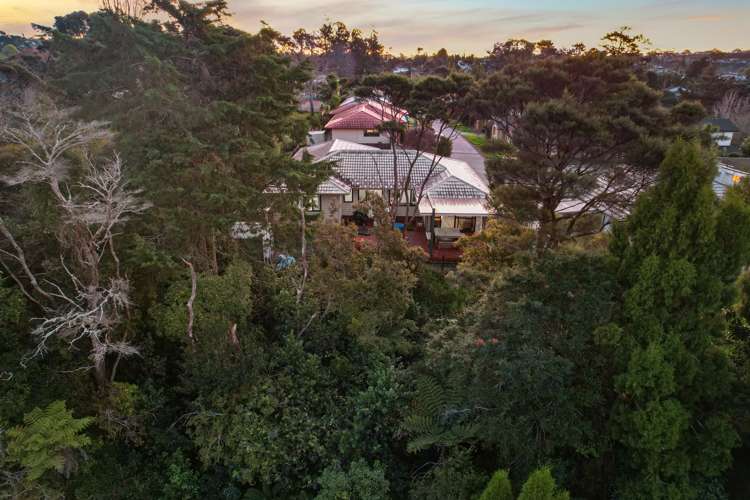 169f Colwill Road Massey_27