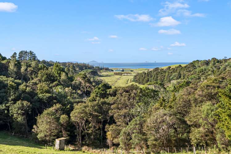 1559 Pataua North Road Pataua_15