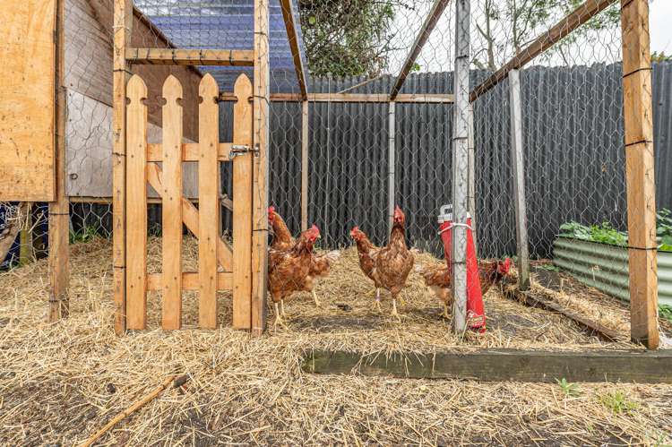 40 Karaka Street Castlecliff_18