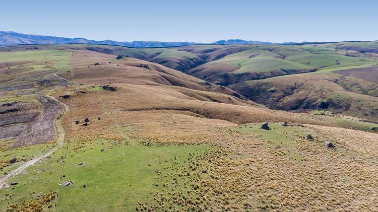 540 Four Mile Road Hyde_0