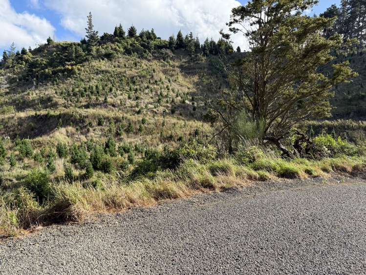 300 Ngapaeruru Road Dannevirke_5