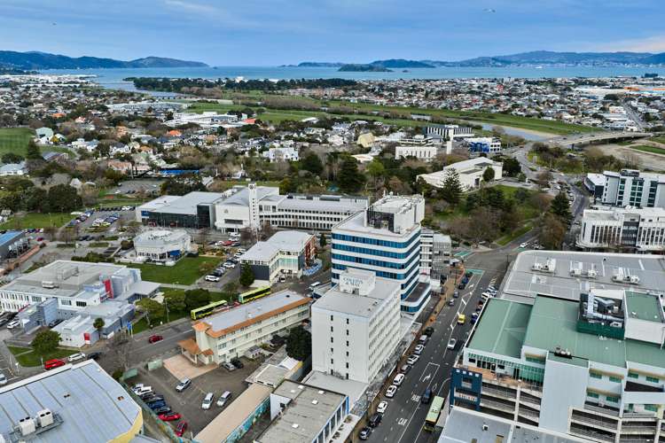 44 Queens Drive Hutt Central_13
