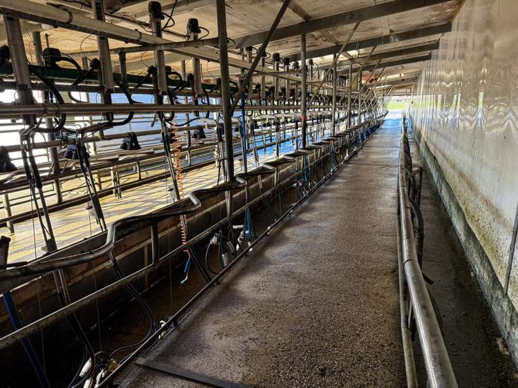 403 Island Edendale Road Menzies Ferry_18