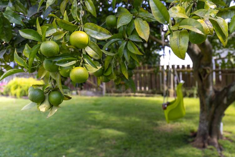 2 Alexandra Street Huntly_27