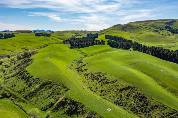 558 Leader Road West Waiau_11