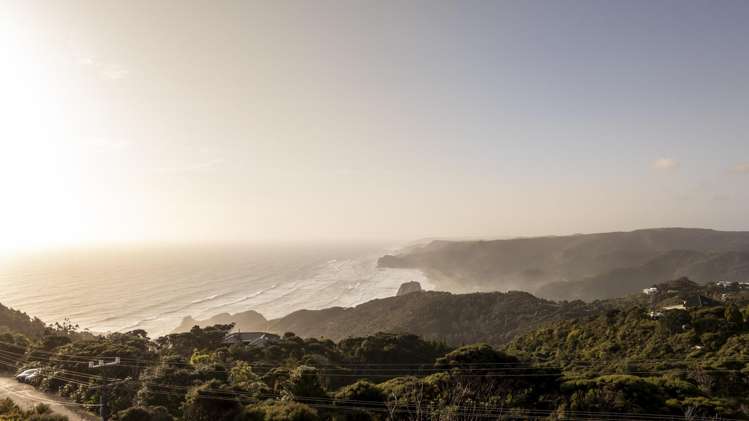 6 Log Race Road Piha_7