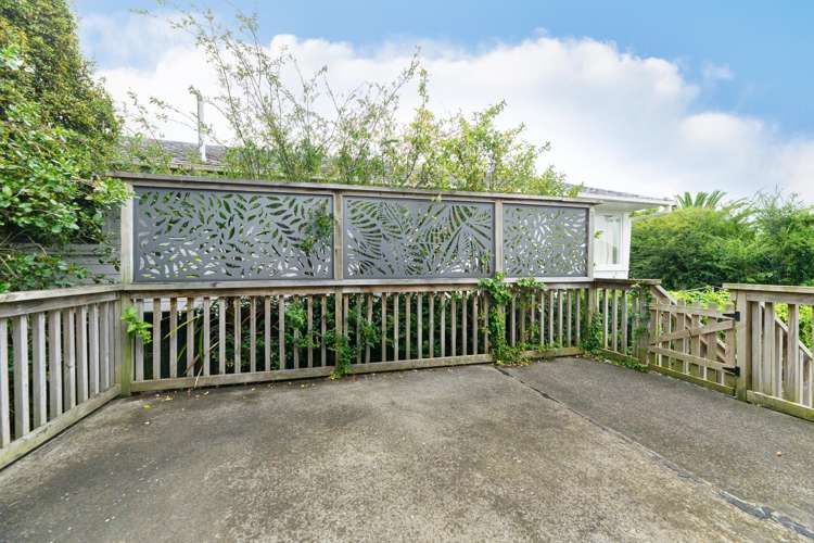 11 Harrington Road Henderson_25