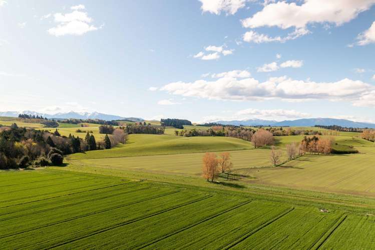 Rowallan Road Darfield_6