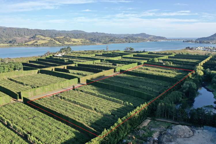 15 Tangiteroria Lane Pauanui_1